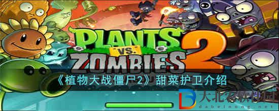 植物大戰(zhàn)僵尸2甜菜護(hù)衛(wèi)怎么樣