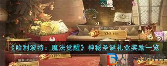 哈利波特魔法覺醒神秘圣誕禮盒有什么獎勵