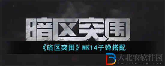 暗區(qū)突圍MK14用什么子彈