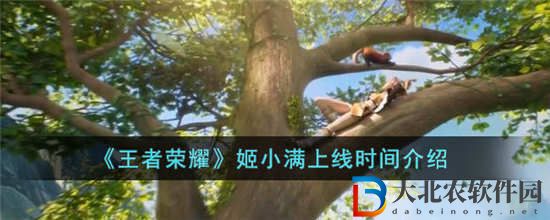 王者榮耀姬小滿什么時候上線 姬小滿上線時間介紹一覽