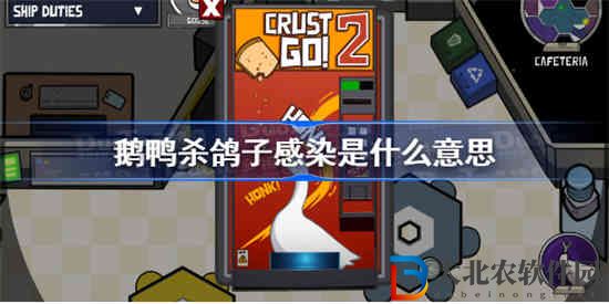 鵝鴨殺鴿子感染是什么意思