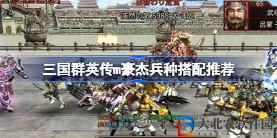 三國群英傳m豪杰兵種該怎么搭配