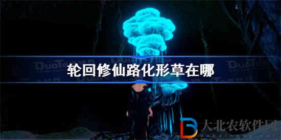 輪回修仙路化形草在哪