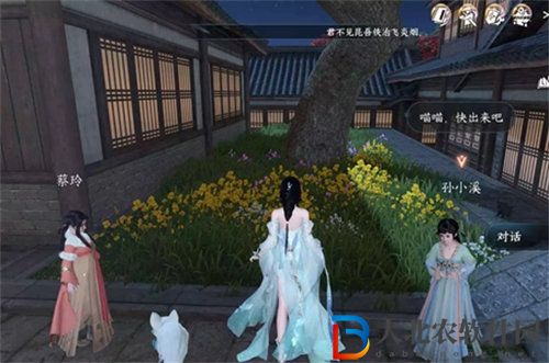 逆水寒搶貓任務怎么完成