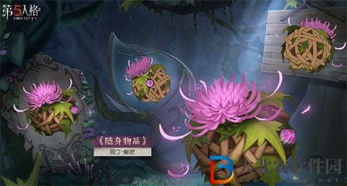 第五人格第三十賽季珍寶有哪些