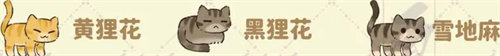 桃源深處有人家貓咪有哪些喜好