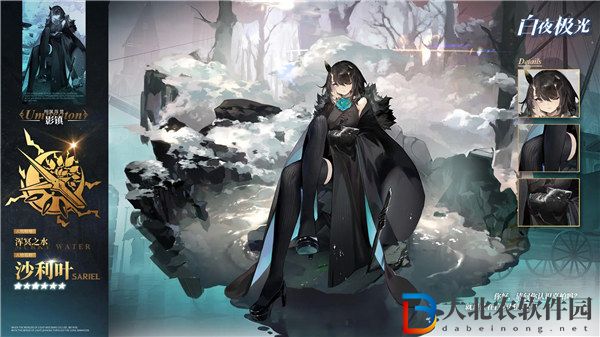 白夜極光沙利葉值得培養(yǎng)嗎