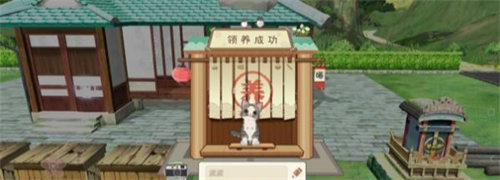 小森生活貓咪不吃東西怎么辦