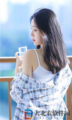 老版茄子