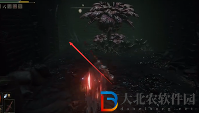 艾爾登法環流浪民族骨灰