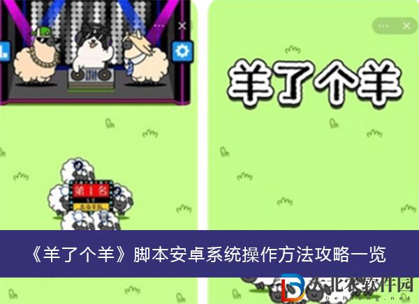 羊了個羊腳本安卓系統操作方法攻略-羊了個羊腳本安卓系統操作方法攻略一覽