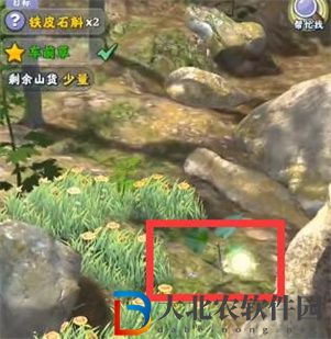 奪筍高手河南伏牛山無價之寶金釵石斛