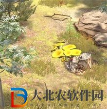 奪筍高手隱藏*
蛋