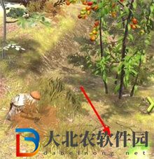 奪筍高手隱藏*
蛋