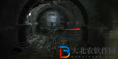 艾爾登法環(huán)徘徊權(quán)貴骨灰