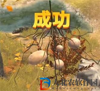 奪筍高手貴州焚凈山無價之寶九轉還魂芝
