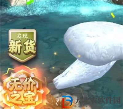 奪筍高手新疆天山無價之寶巨型阿魏