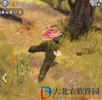 奪筍高手貴州焚凈山無價之寶九轉還魂芝