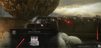艾爾登法環圣樹士兵骨灰