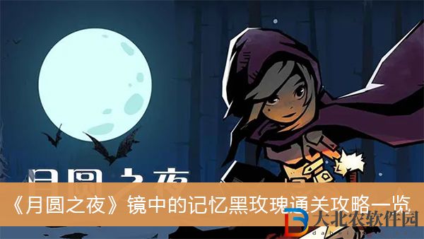 月圓之夜鏡中的記憶黑玫瑰通關攻略