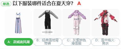 以下服裝哪件適合在夏天穿