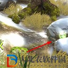 奪筍高手隱藏*
蛋