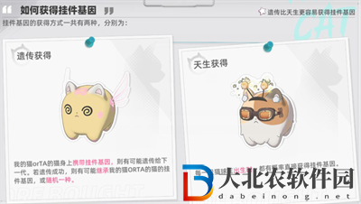 貓之城掛件基因怎么獲得