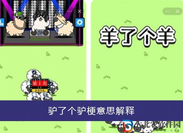 驢了個驢什么意思