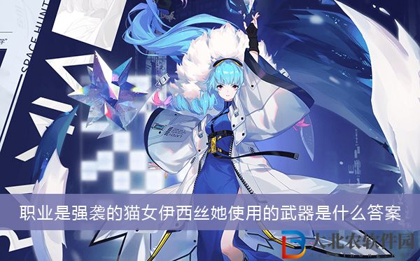 職業是強襲的貓女伊西絲她使用的武器是什么