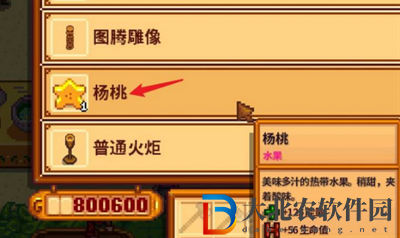 星露谷物語購買楊桃方法