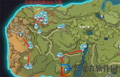 原神提納里材料在哪里采集