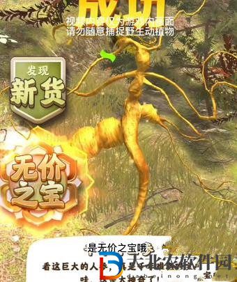 奪筍高手長白山無價之寶千年人參
