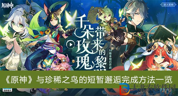 原神與珍稀之鳥的短暫邂逅怎么玩