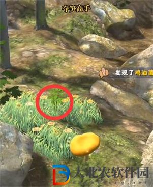 奪筍高手河南伏牛山無價之寶金釵石斛