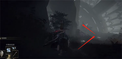 艾爾登法環(huán)鳥身人偶士兵骨灰