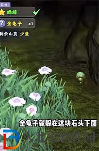 奪筍高手廣西桂林無價之寶七*
朱砂蟋蟀