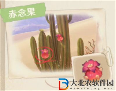 原神3.1沙漠地圖新增生物