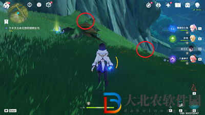 原神珍稀之鳥的短暫邂逅任務(wù)怎么完成