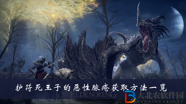 艾爾登法環護符死王子的惡性膿瘡