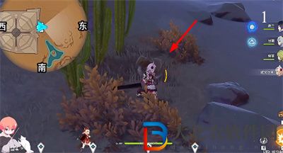 原神金薔薇種子位置