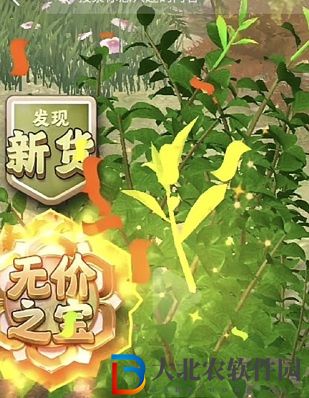 奪筍高手長白山無價之寶婺源茗眉