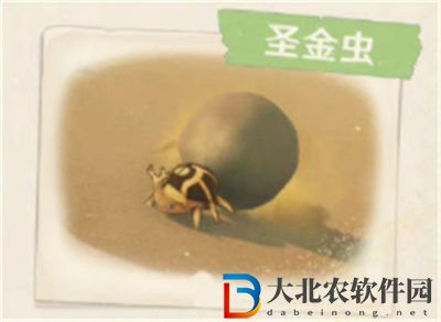 原神3.1沙漠地圖新增生物