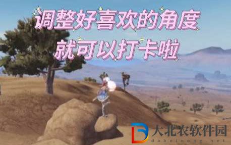 和平精英小烏龜打卡點在哪