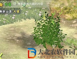 奪筍高手長白山無價之寶婺源茗眉