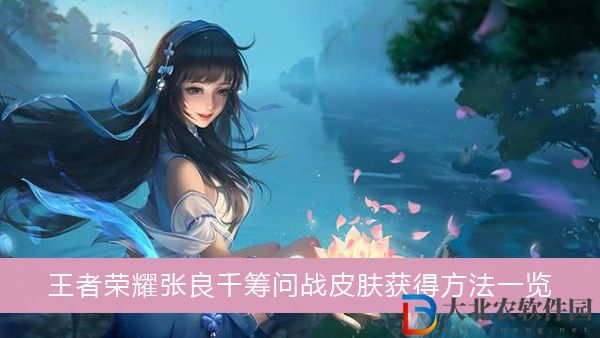 王者榮耀張良千籌問戰皮膚如何獲得