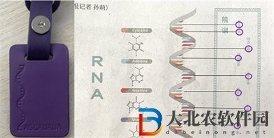 戀與制作人救世主計劃許墨答案