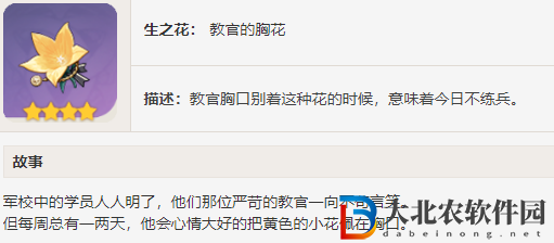 原神4.4納西妲圣遺物搭配推薦