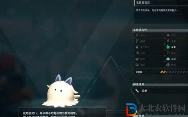 幻獸帕魯毛攙兒哪里抓