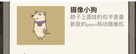 動(dòng)物餐廳攝像小狗為什么不來(lái)