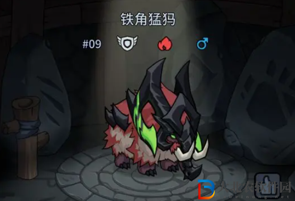 ******
寵物最強(qiáng)陣容
